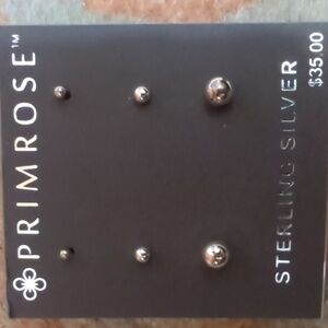 A cute set of silver earrings from tini to just there.